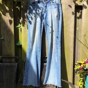 PZI distressed jeans